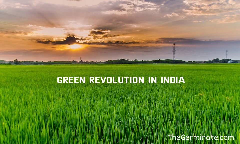 Green Revolution Begin in India The Germinate