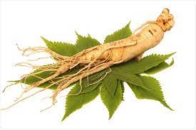 ginseng