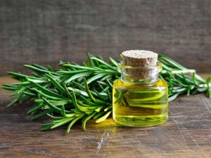 rosemary_oil