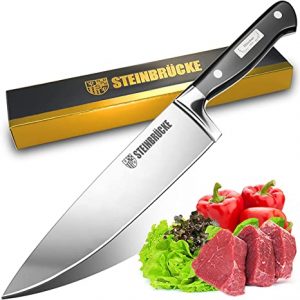 STEINBRÜCKE 10 inch Chef Knife - Pro Kitchen Knife Forged from German Stainless Steel 8Cr15Mov (HRC58), Full Tang, Ultra-sharp Classic Cooks Knife with Ergonomic Handle for Home Kitchen & Restaurant