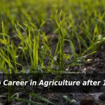 top-career-in-agriculture-after-12th