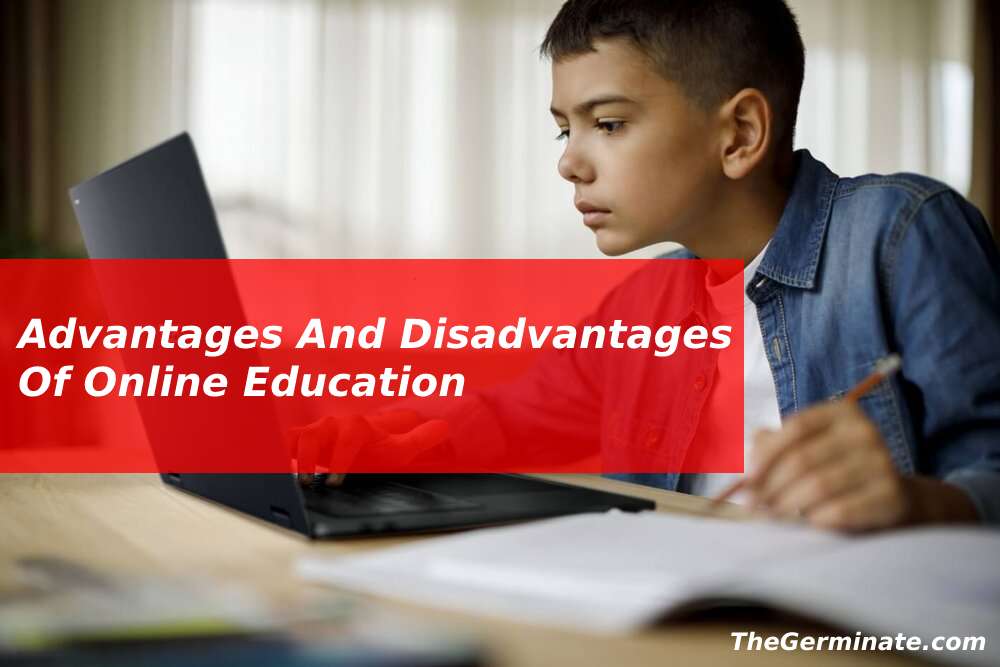 online education disadvantages